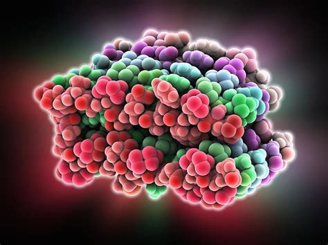 beta-amyloid protein